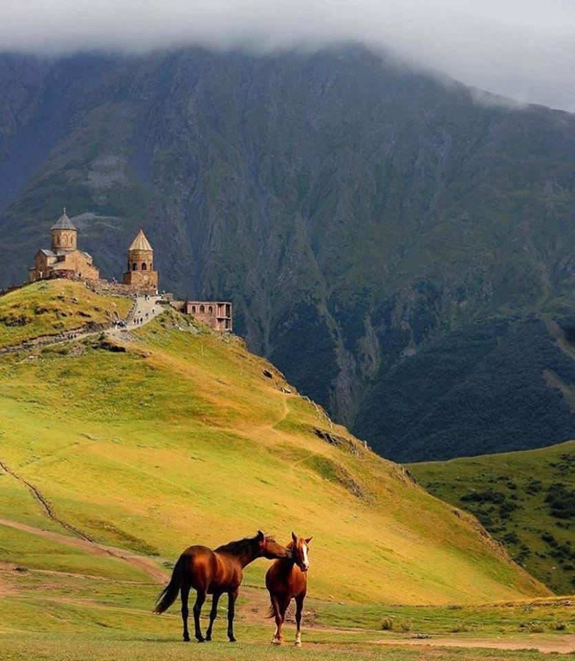 Ineza'S Guest House Kazbegi Dış mekan fotoğraf