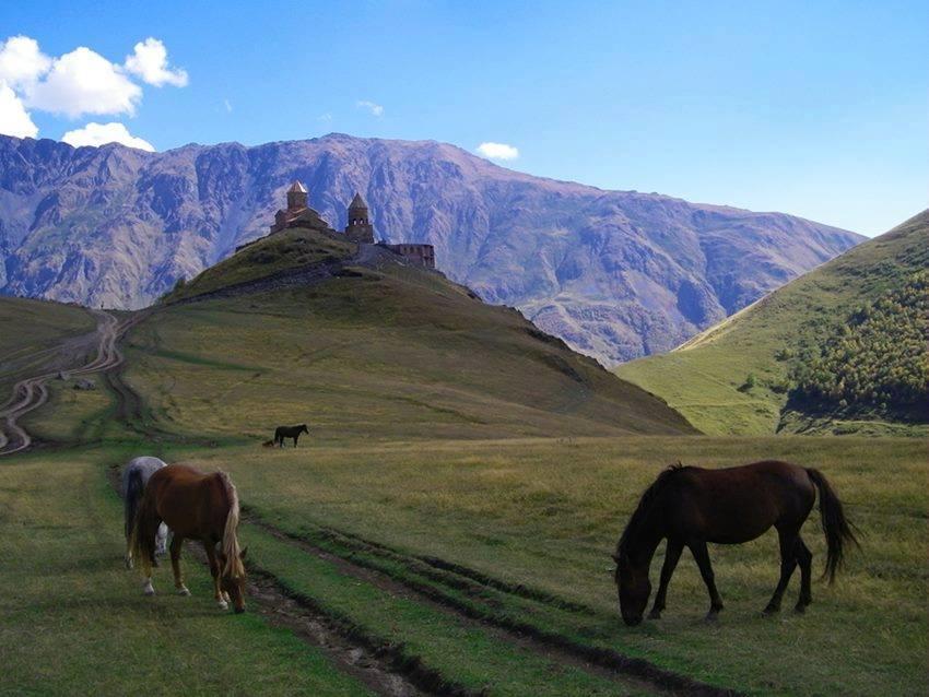 Ineza'S Guest House Kazbegi Dış mekan fotoğraf